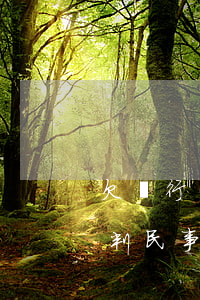欠銀行貸款和信用卡140萬(wàn),能判民事嗎，欠銀行貸款和信用卡140萬(wàn)，是否會(huì)面臨民事判決？